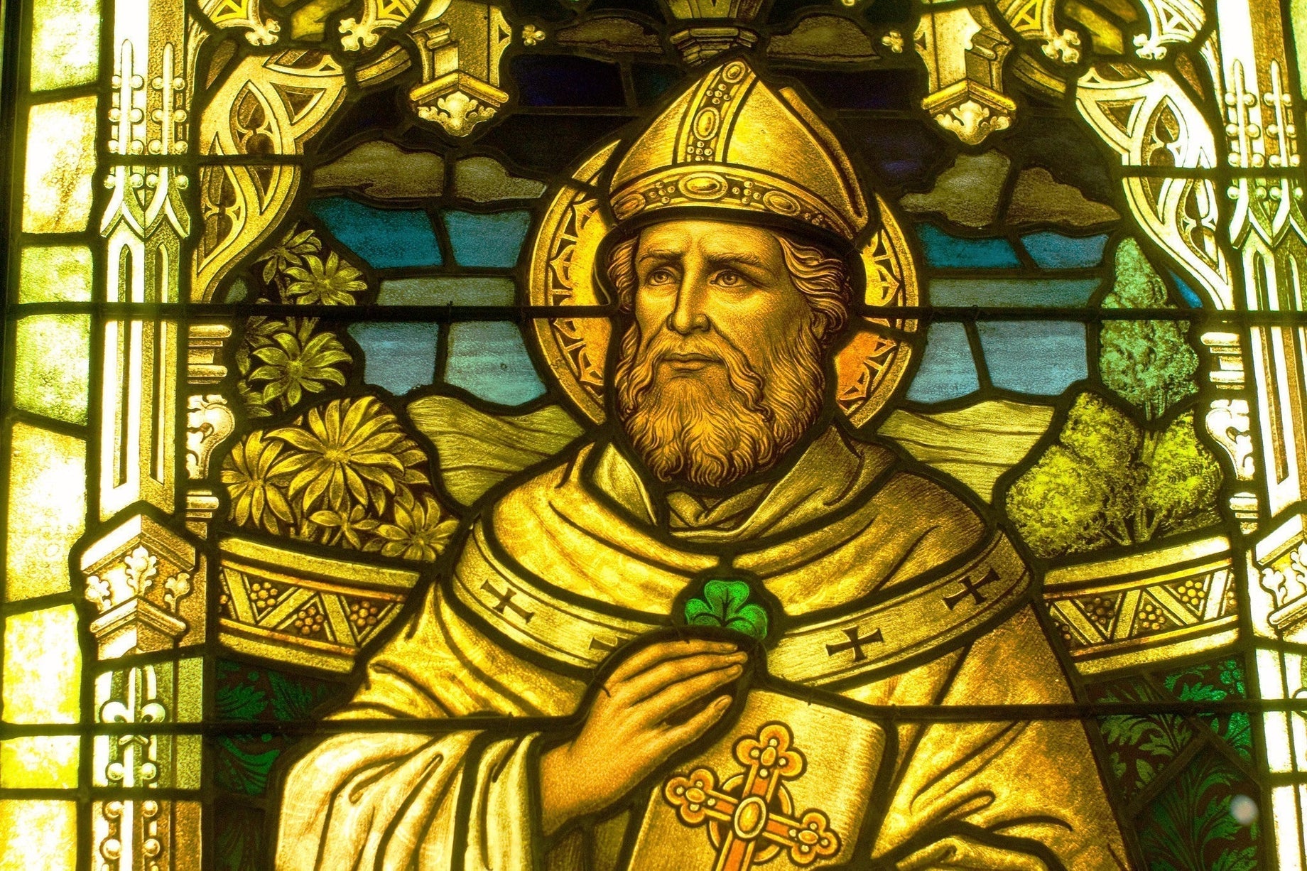 The Public and Private Life of St. Patrick