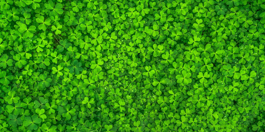 St. Patrick’s Day Traditions Around the World